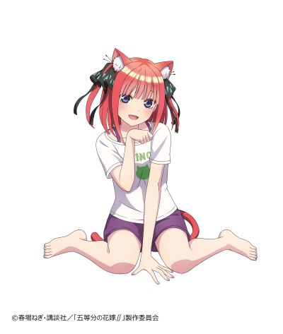 Desktop Cute 五等分的新娘∬ 中野二乃 ~猫咪居家服~