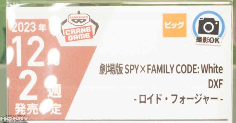 剧场版 间谍过家家 代号：白 DXF-约尔·福杰-