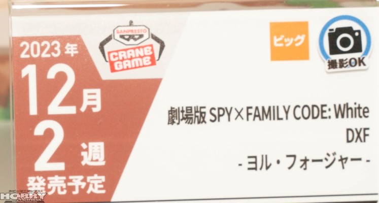 剧场版 间谍过家家 代号：白 DXF-约尔·福杰-