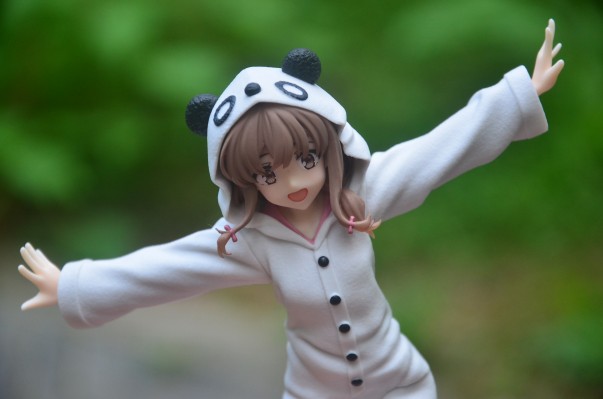 Coreful 青春猪头少年不会梦到兔女郎学姐 梓川枫