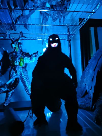 东宝大怪兽系列 哥斯拉2：怪兽之王 哥斯拉 放射热线版