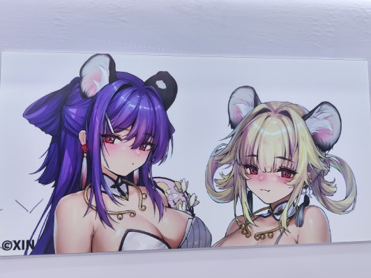 萌姬连合 百合与斯黛拉 斯黛拉 白虎