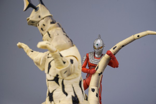 S.H.Figuarts 艾雷王
