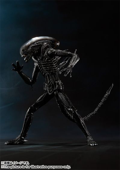 S.H.MonsterArts 异形 异形