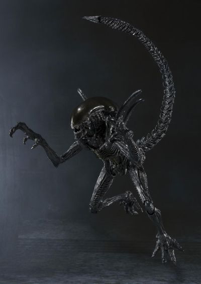 S.H.MonsterArts 异形战士