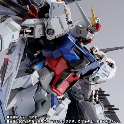 METAL BUILD   凤凰装备