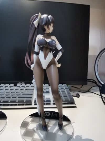 碧蓝航线 爱宕 与 高雄 赛车女郎