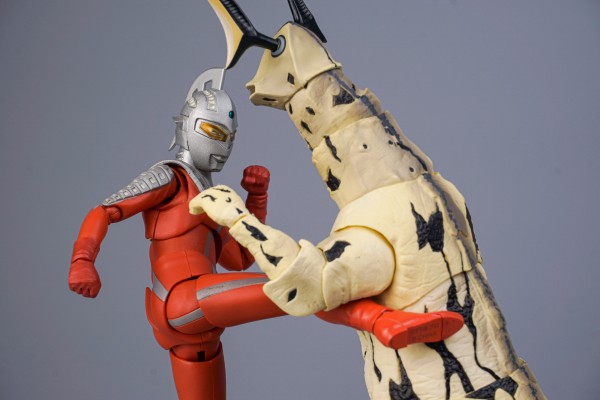 S.H.Figuarts 艾雷王