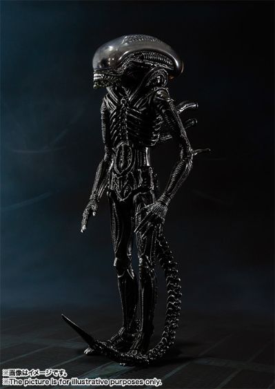 S.H.MonsterArts 异形 异形