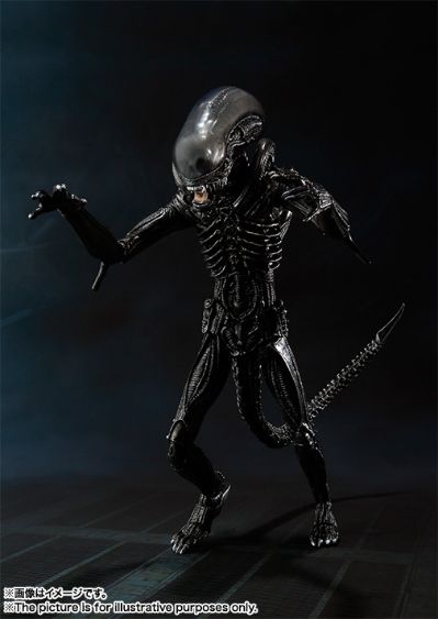 S.H.MonsterArts 异形 异形