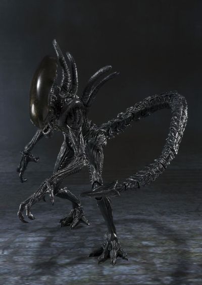 S.H.MonsterArts 异形战士