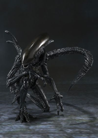 S.H.MonsterArts 异形战士