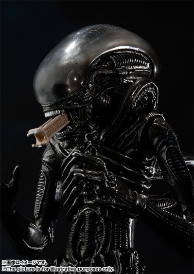 S.H.MonsterArts 异形 异形