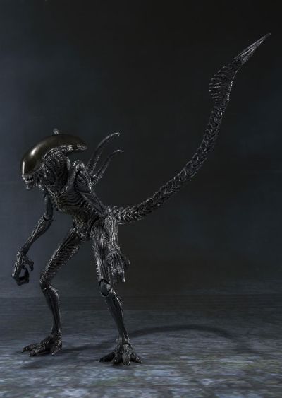 S.H.MonsterArts 异形战士