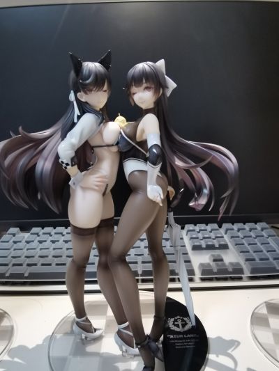 碧蓝航线 爱宕 与 高雄 赛车女郎