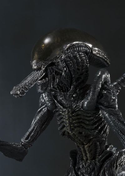 S.H.MonsterArts 异形战士