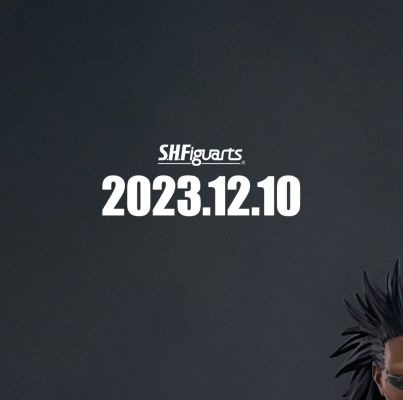 S.H.Figuarts 境界 新篇章（死神 千年血战篇） 更木剑八