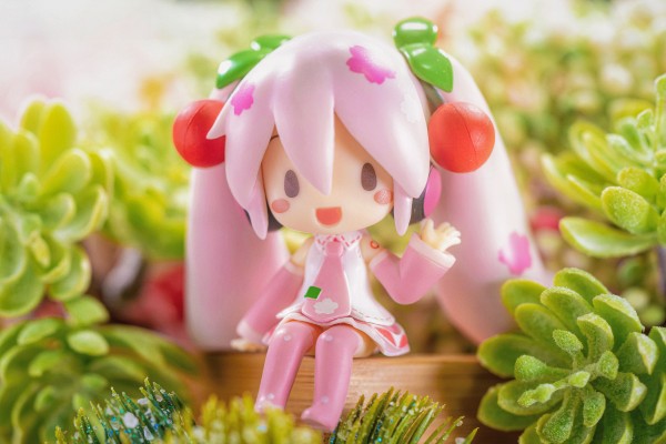 午睡猫咪MP 初音未来 樱花未来2023