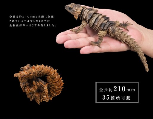 进化生物大图鉴 犰狳蜥