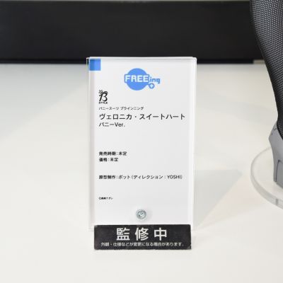 B-style 兔女郎服装计划 维罗妮卡·斯威哈 兔女郎