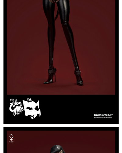MODERN GALS系列 1/6 收藏级可动人偶“ 猫女”DOMDOM