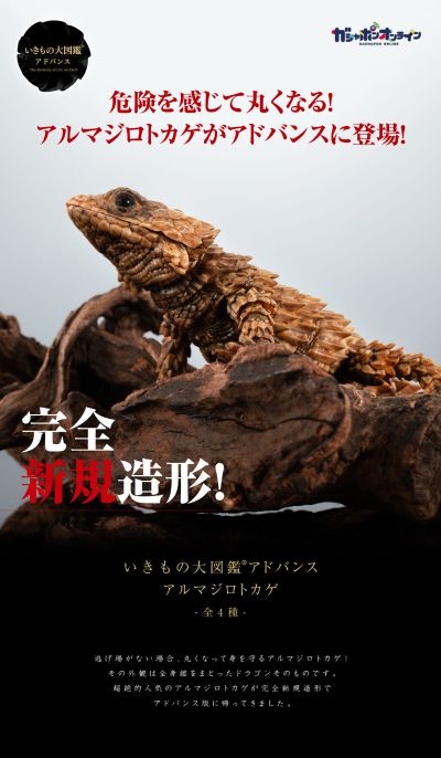 进化生物大图鉴 犰狳蜥