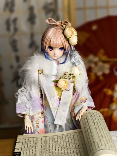Dollfie Dream 