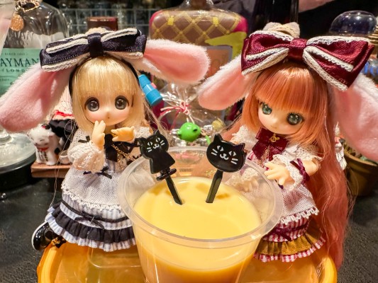 糖果杯 饼干 ～星屑仙境～ 秋叶原店开业7周年纪念 (Azone商城限定贩售)