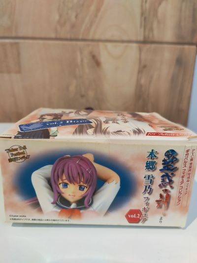 蛊惑の刻 本郷雪乃 Vol.2 B Type 