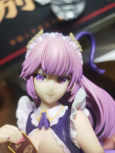神秘女仆的特选 魅魔女仆