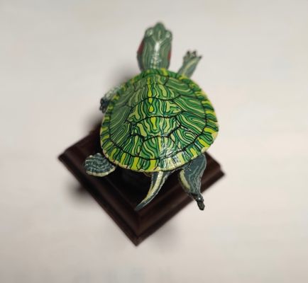 高级生物大图鉴 椰子蟹