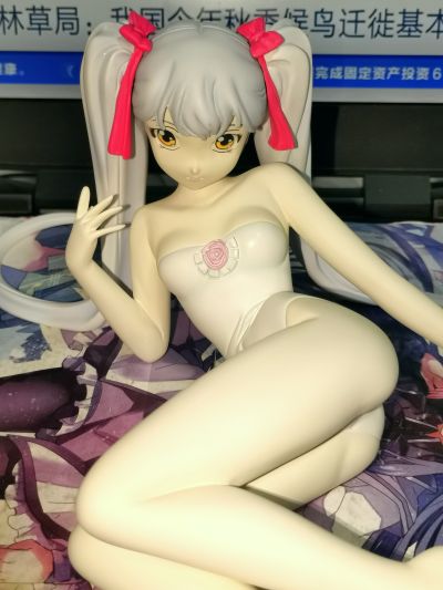 機動戦艦ナデシコ 星野ルリ 泳装2007 ver. 