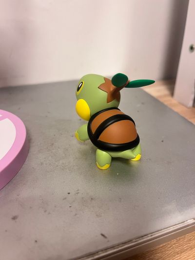 ARTFX J 精灵宝可梦系列 小光 与 草苗龟