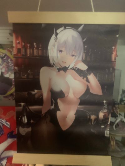 兔女郎 乃乃