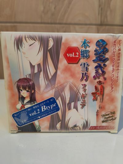蛊惑の刻 本郷雪乃 Vol.2 B Type 