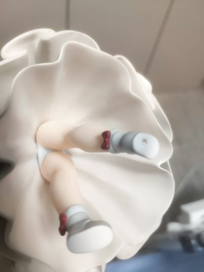 菇娘系列·No.2·长裙竹荪