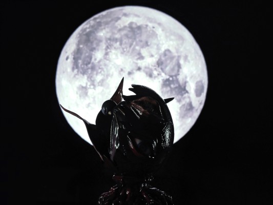 figma#SP-80 剑风传奇 黄金时代篇 纪念版 费蒙特 暗之鹰诞生