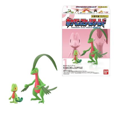 宝可梦比例世界 丰缘地区