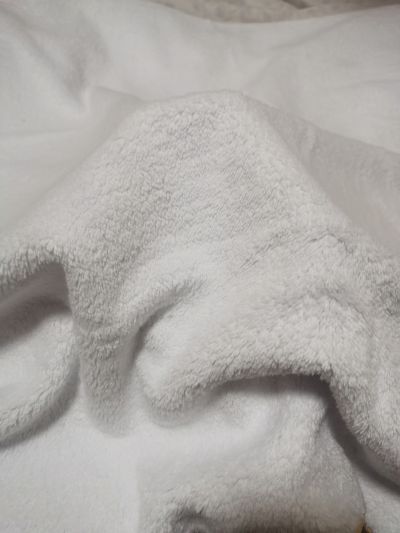 圣处理修女 彼得罗涅