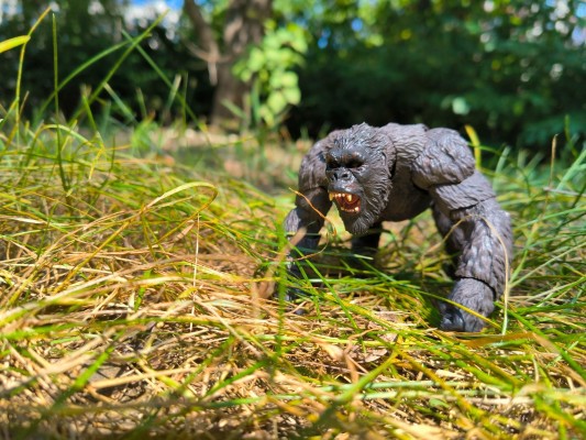 S.H.MonsterArts 哥斯拉大战金刚 金刚  -展会限定版-