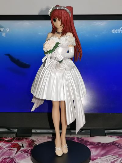 ToHeart2 XRATED 向坂環 -Mariage（マリアージュ）- irisawa限定版