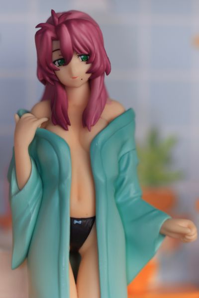 拜托了双子星 宫藤深衣奈 Collect800 Please! Hot spring Collection 