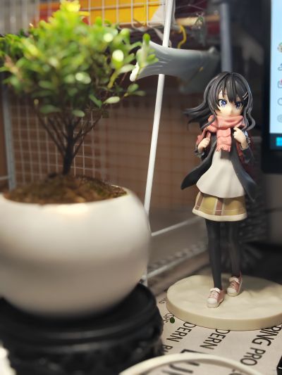 Luminasta  青春猪头少年不会梦到红书包女孩 红书包少女