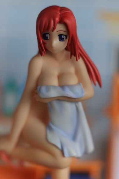 拜托了双子星 宫藤深衣奈 Collect800 Please! Hot spring Collection 