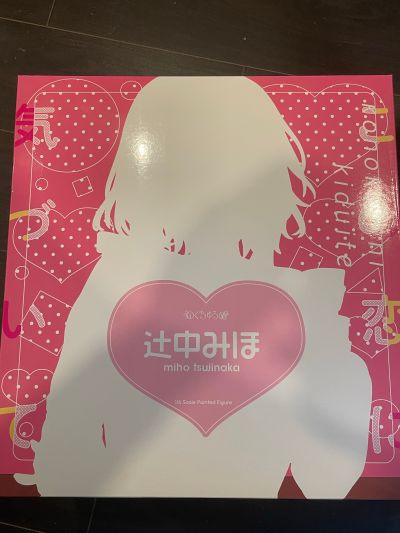 请察觉到这份恋情吧 辻中美穗