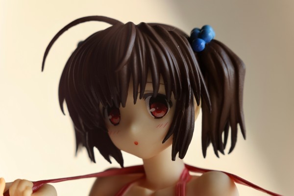 百花繚乱 直江兼続 水着Ver.