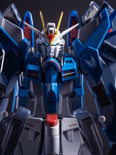 METAL ROBOT魂 ＜机动战士系列＞ 飞升自由高达