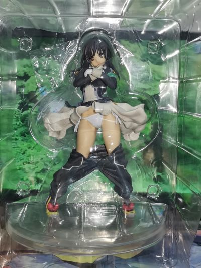 境界上的地平线 本多正纯 被脱下裤子的副会长