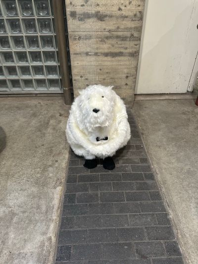 青春猪头少年不会梦到娇怜外出妹 梓川花枫