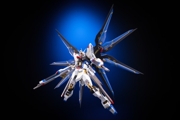 METAL ROBOT魂＜机动战士系列＞ 强袭自由高达